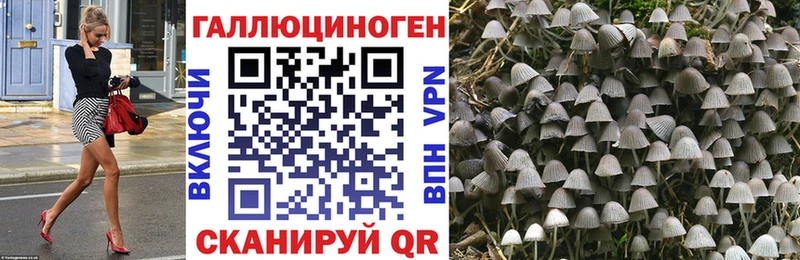 купить наркоту Мамоново Галлюциногенные грибы прущие грибы